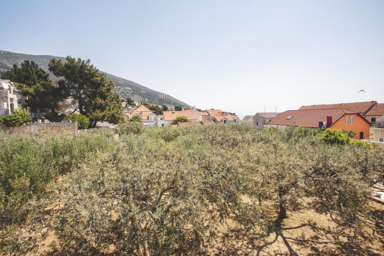 Center Golden Ray Apartman