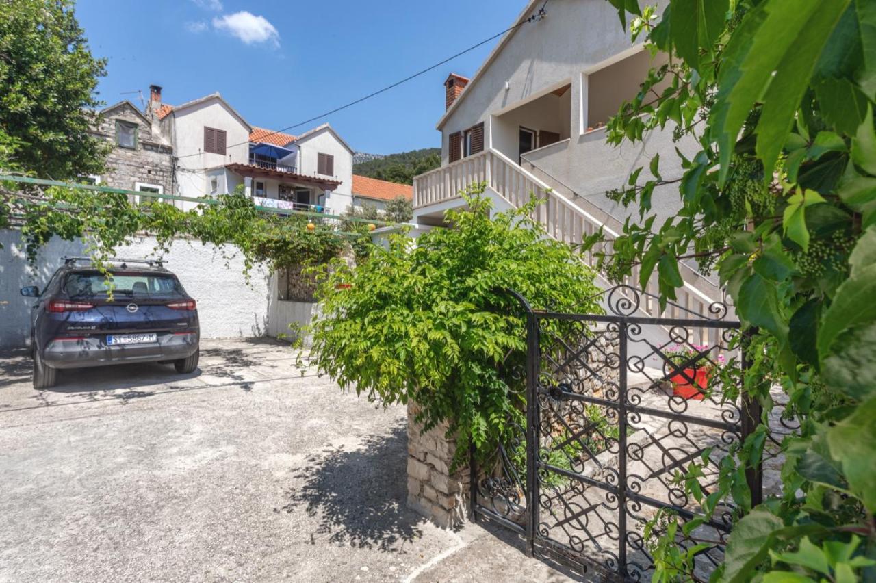 Center Golden Ray Apartment Bol